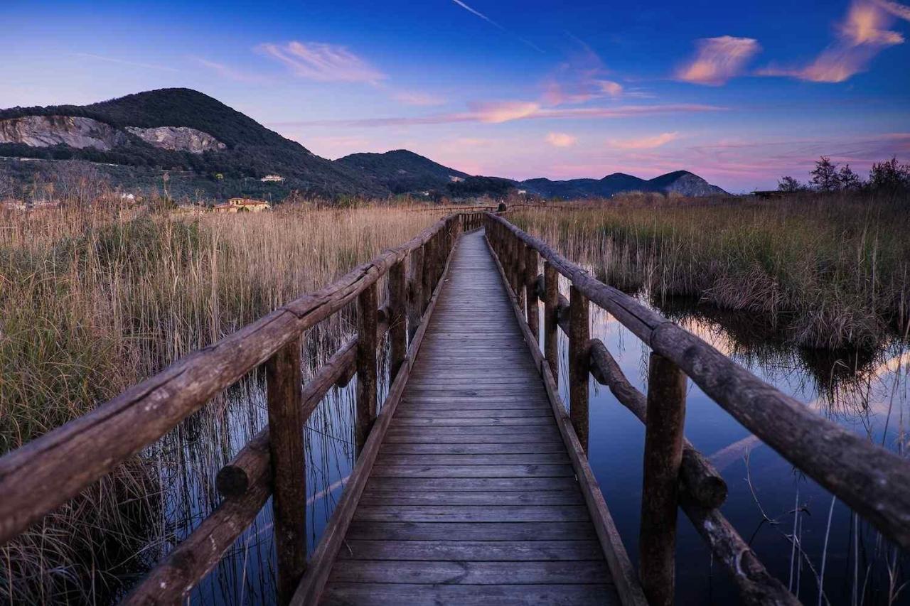 I Levrieri Hotel Torre del Lago Puccini Eksteriør billede